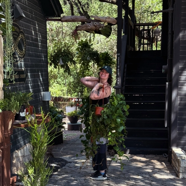 Water and reset day✨
Beat the crowds and come see us weekdays, open 10-6. 🌱
Hope you have a beautiful Monday friends. 😊
#wimberleytx #plantshop #wateringplants